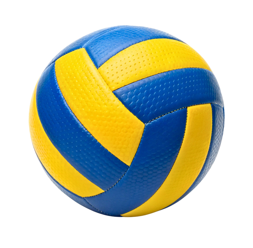 Picture of Blue and Yellow Volleyball